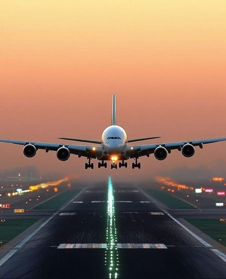 Global shipping network and courier services